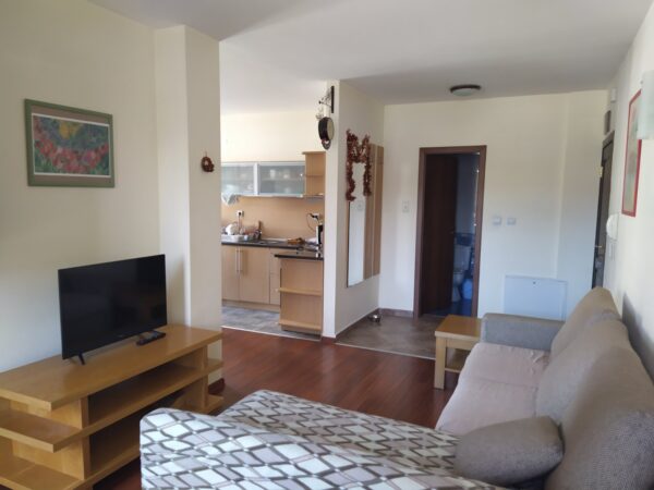 Spacious one-bedroom apartment for sale near Bansko city center